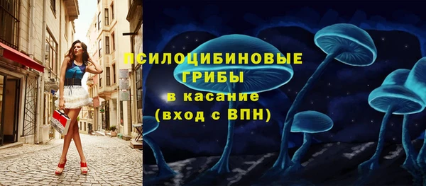 Альфа ПВП Арсеньев