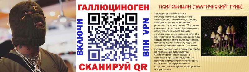 где купить   Первомайск  Галлюциногенные грибы Psilocybe 